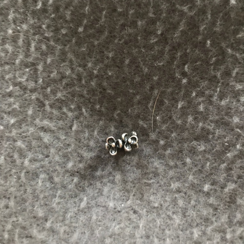 Pandora Charm